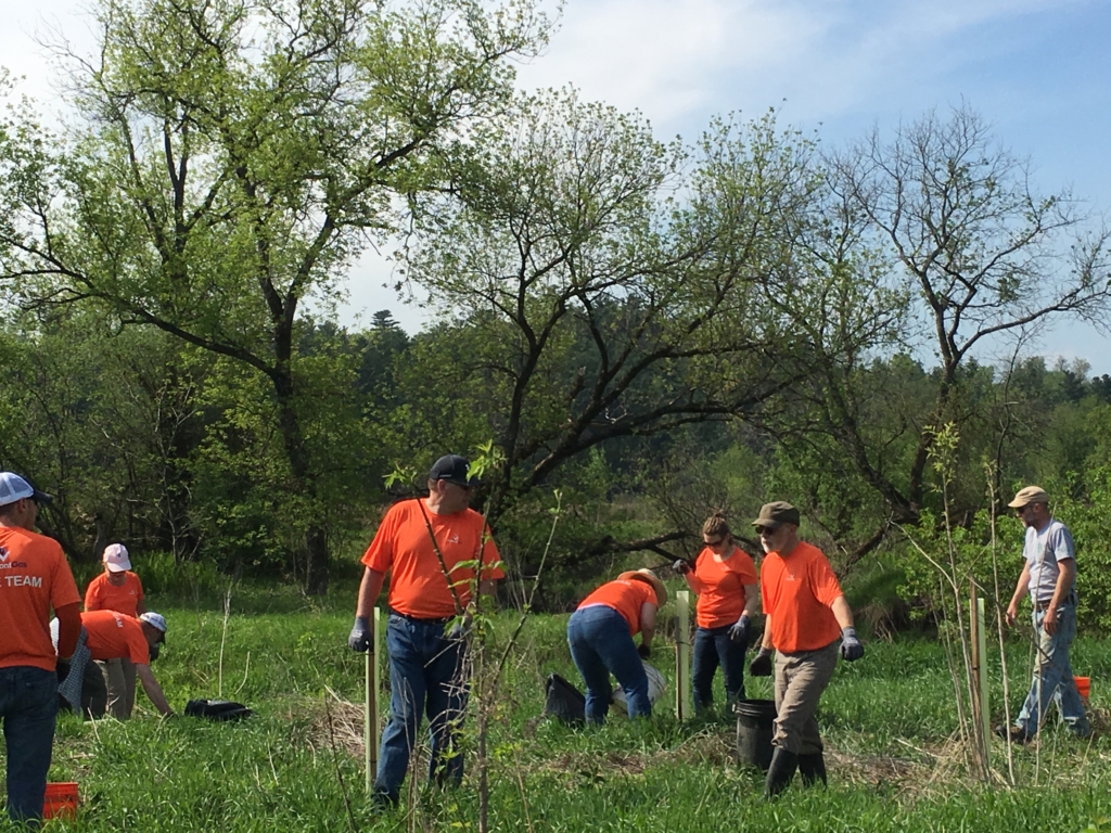 Vermont Gas, Intervale Center Partner in Joint Tree Planting Campaign VGS
