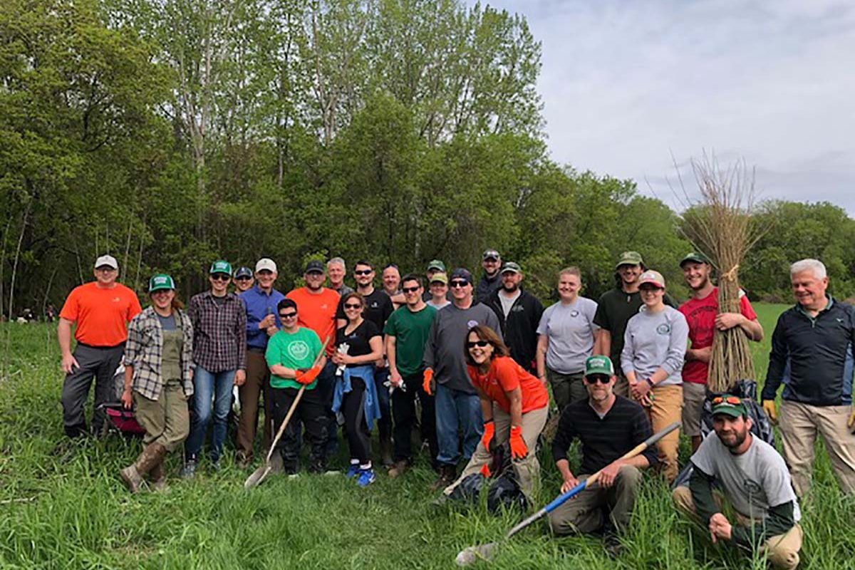 tree planting