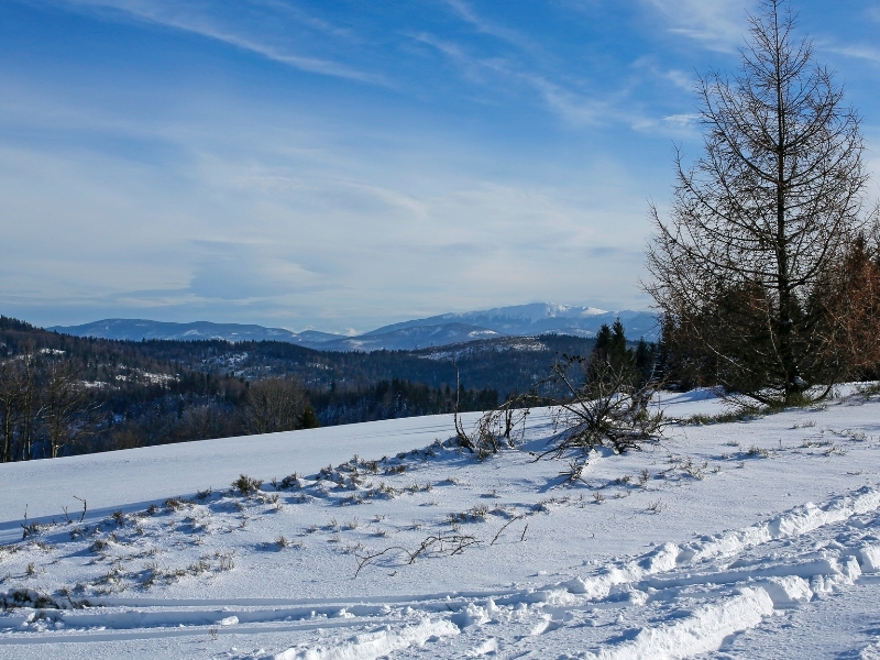A snowy hillside in Vermont