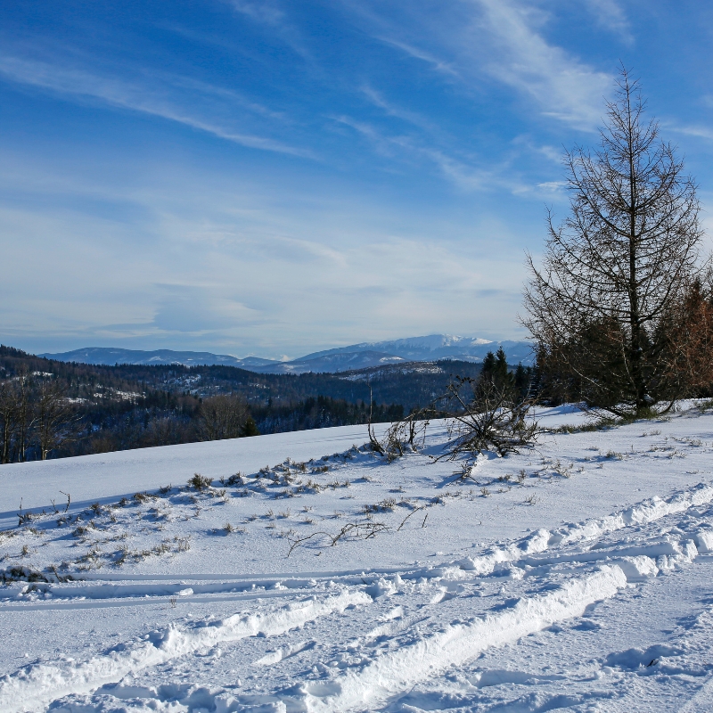A snowy hillside in Vermont